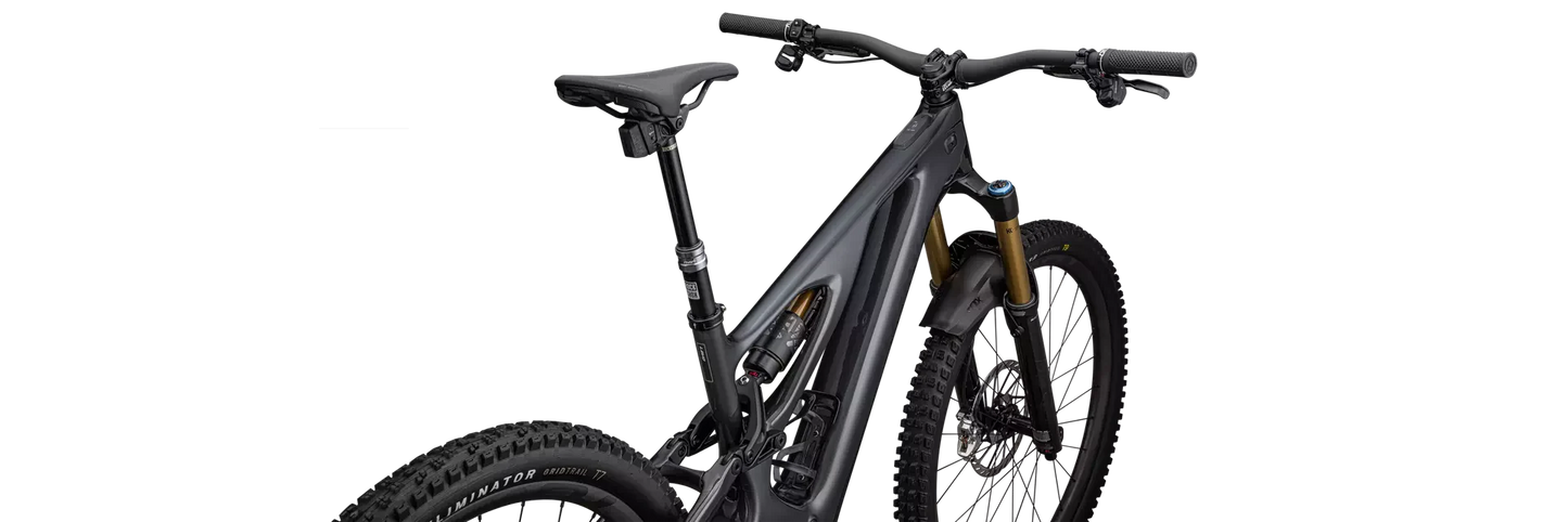 S-Works Turbo Levo T-Type