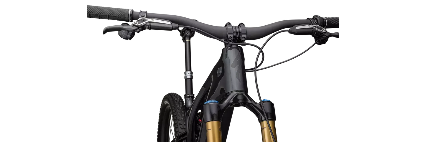 S-Works Turbo Levo T-Type