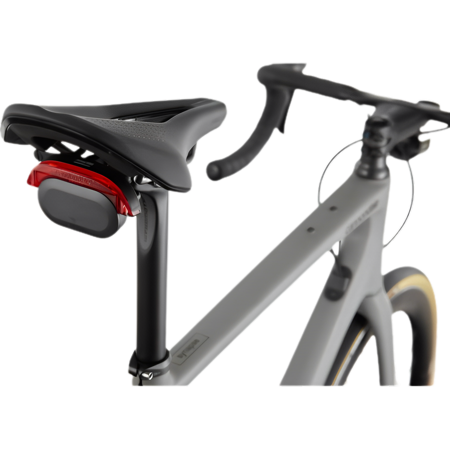 Synapse Carbon 1 RLE